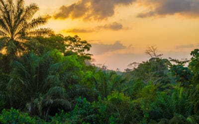 Empowering Liberia’s Green Recovery Through the NDC Partnership Action Fund