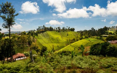 Kenya’s Kitui County Climate Change Fund (CCCF)