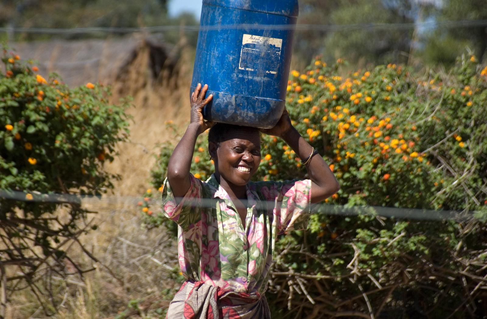 Person carrying large blue container of water on top of their head with flowering bush plants in the background