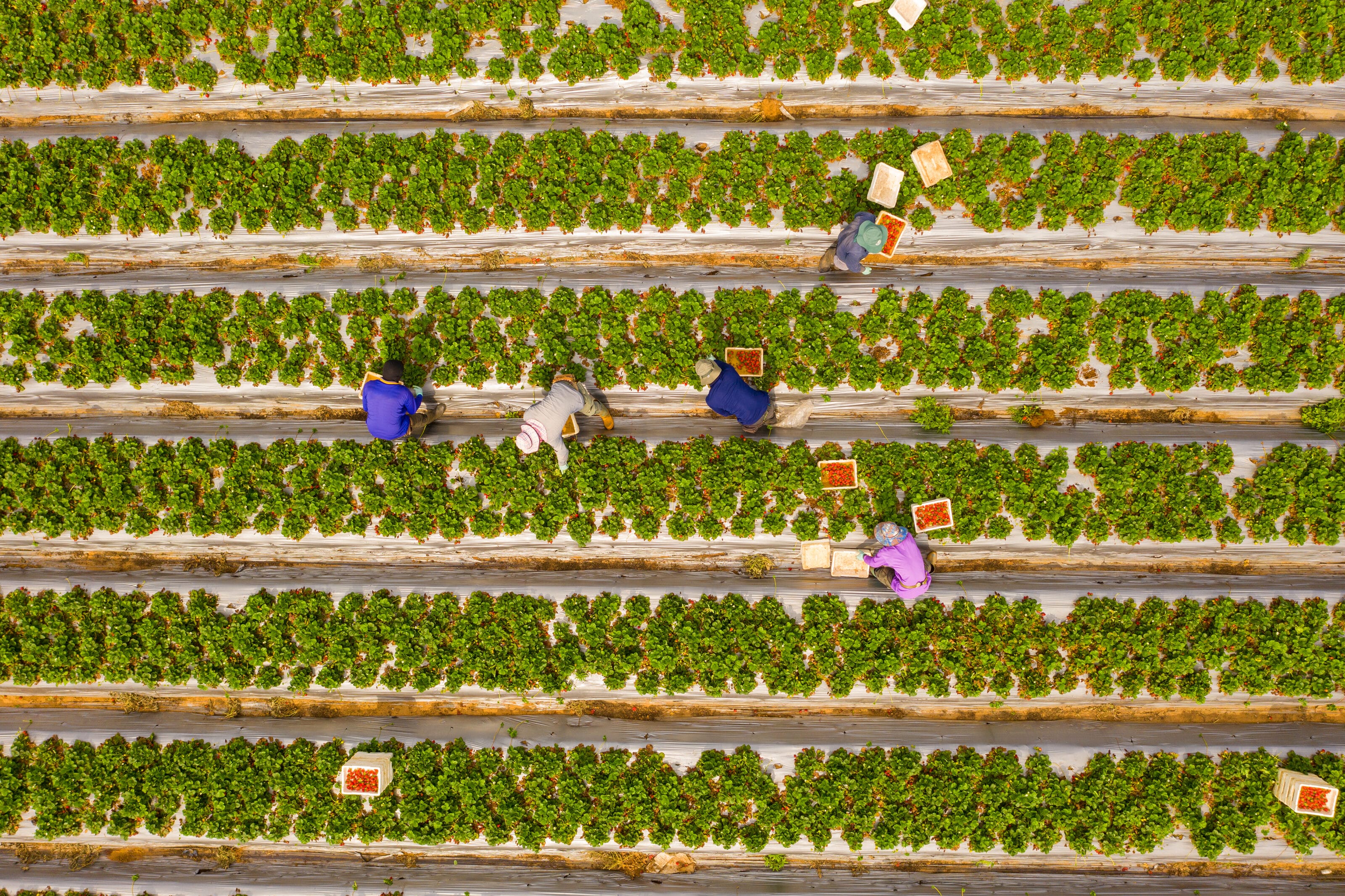 Food Systems Investment Framework
