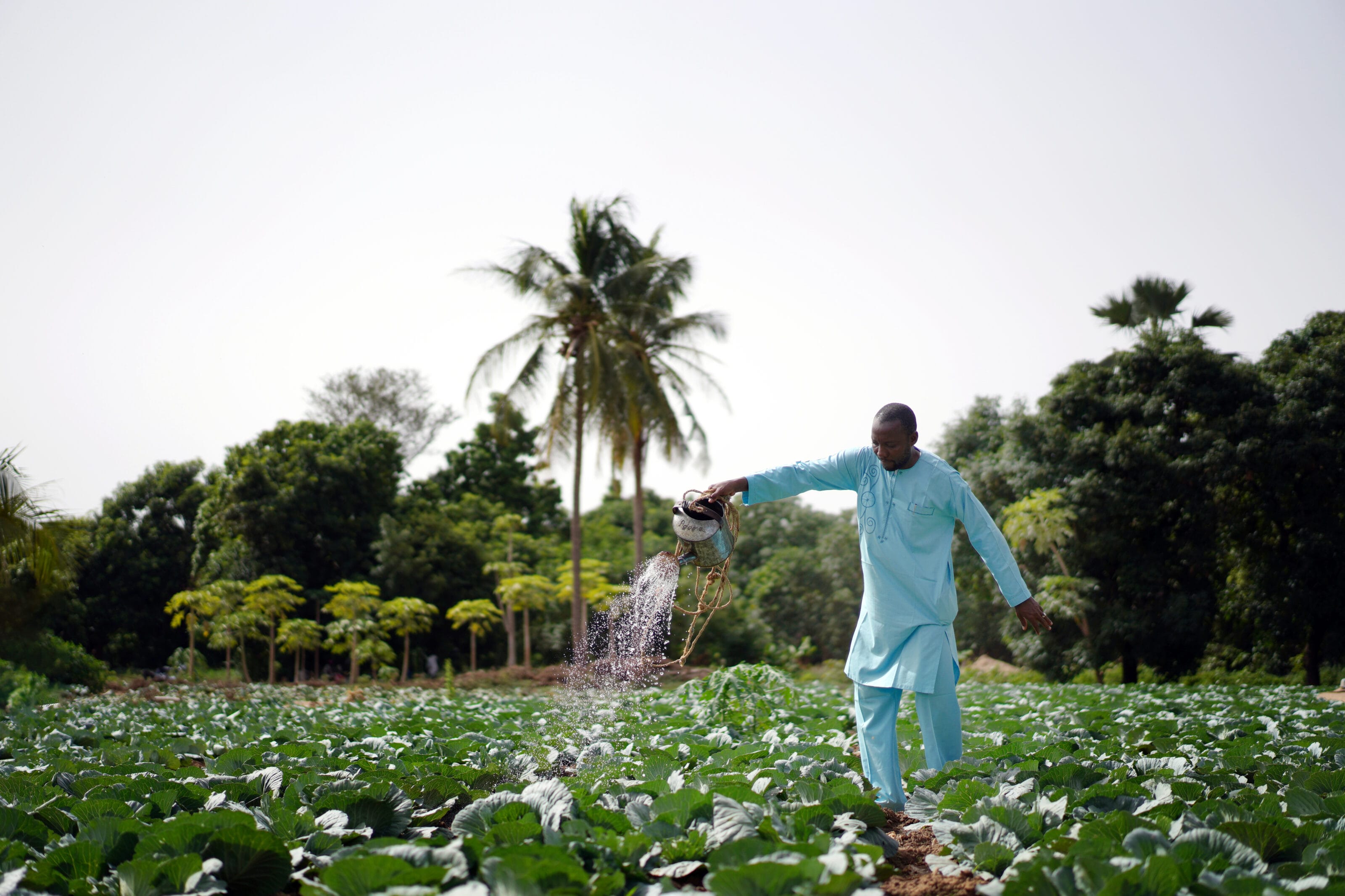 Adaptation Investment Planning
