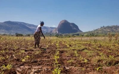 Untapped Opportunities for Climate Action: The Multiple Benefits of Transforming Food Systems